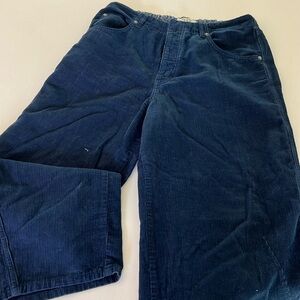 Free people blue corduroy pants.